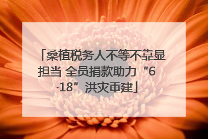 桑植税务人不等不靠显担当 全员捐款助力“6·18”洪灾重建