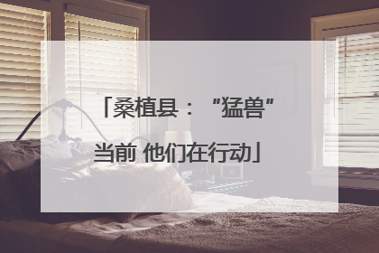 桑植县：“猛兽”当前 他们在行动