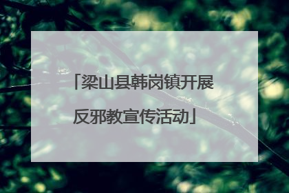 梁山县韩岗镇开展反邪教宣传活动
