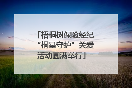 梧桐树保险经纪“桐星守护”关爱活动圆满举行