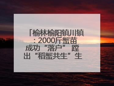 榆林榆阳镇川镇：2000斤蟹苗成功“落户” 蹚出“稻蟹共生”生态种养新路径