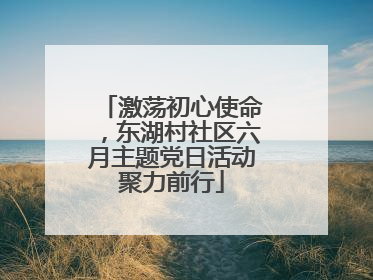 激荡初心使命，东湖村社区六月主题党日活动聚力前行