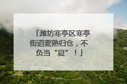 潍坊寒亭区寒亭街道麦熟归仓，不负当“夏”！