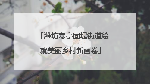 潍坊寒亭固堤街道绘就美丽乡村新画卷