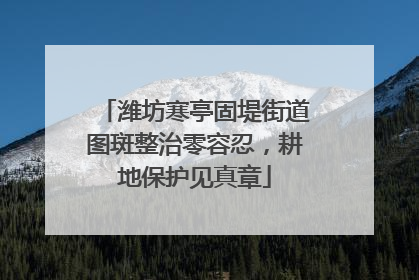 潍坊寒亭固堤街道图斑整治零容忍，耕地保护见真章