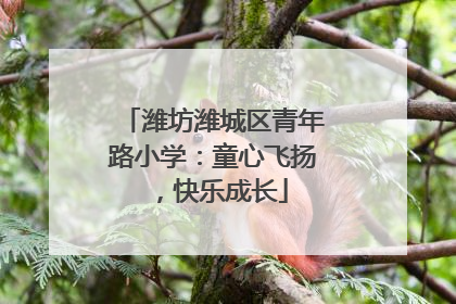 潍坊潍城区青年路小学：童心飞扬，快乐成长
