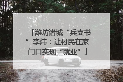 潍坊诸城“兵支书”李炜：让村民在家门口实现“就业”