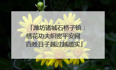 潍坊诸城石桥子镇：绣花功夫织密平安网 百姓日子越过越踏实