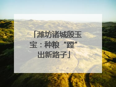 潍坊诸城殷玉宝：种粮“蹚”出新路子