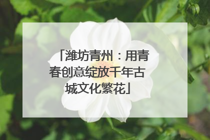 潍坊青州：用青春创意绽放千年古城文化繁花