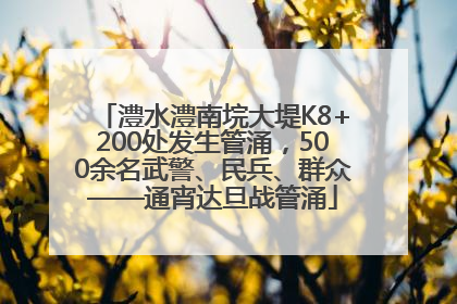 澧水澧南垸大堤K8+200处发生管涌，500余名武警、民兵、群众——通宵达旦战管涌
