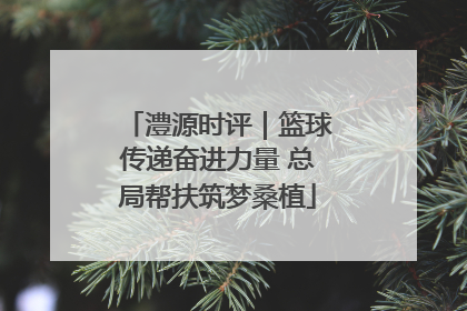 澧源时评｜篮球传递奋进力量 总局帮扶筑梦桑植
