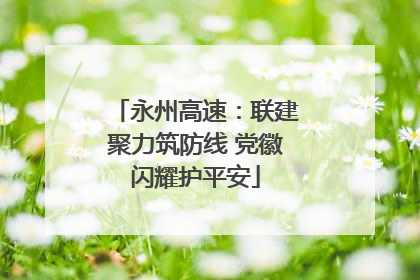 永州高速：联建聚力筑防线 党徽闪耀护平安