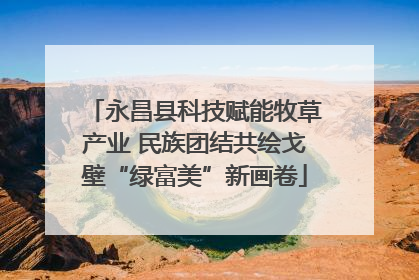 永昌县科技赋能牧草产业 民族团结共绘戈壁“绿富美”新画卷