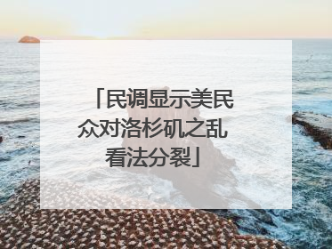 民调显示美民众对洛杉矶之乱看法分裂