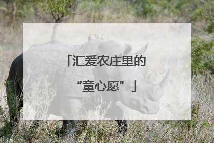 汇爱农庄里的“童心愿”