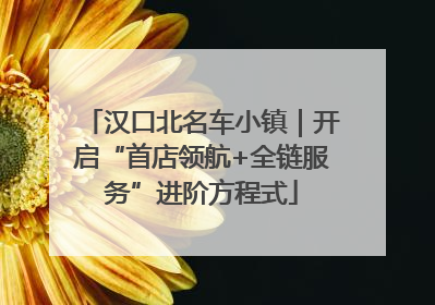 汉口北名车小镇｜开启“首店领航+全链服务”进阶方程式
