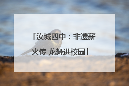 汝城四中：非遗薪火传 龙舞进校园