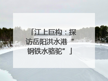 江上巨构：探访岳阳洪水港“钢铁水骆驼”
