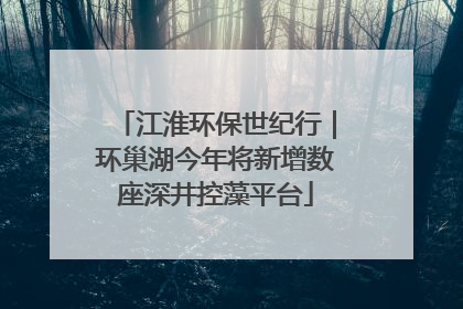 江淮环保世纪行｜环巢湖今年将新增数座深井控藻平台