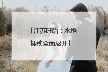 江苏盱眙：水稻插秧全面展开