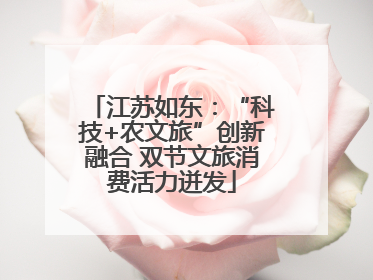 江苏如东：“科技+农文旅”创新融合 双节文旅消费活力迸发
