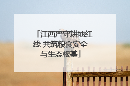 江西严守耕地红线 共筑粮食安全与生态根基