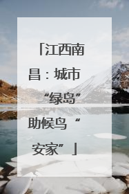 江西南昌：城市“绿岛”助候鸟“安家”