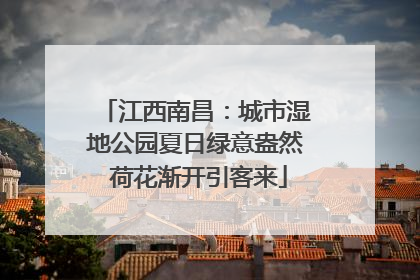 江西南昌：城市湿地公园夏日绿意盎然 荷花渐开引客来