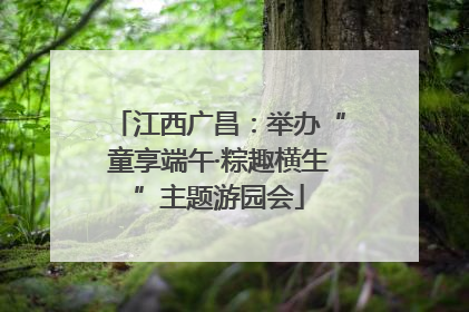 江西广昌：举办“童享端午·粽趣横生”主题游园会