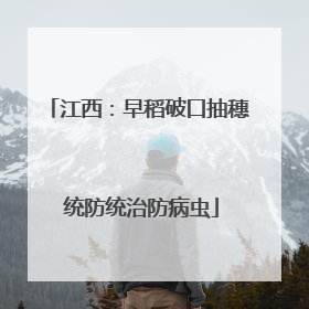 江西：早稻破口抽穗 统防统治防病虫