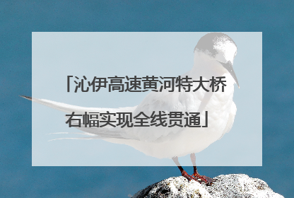 沁伊高速黄河特大桥右幅实现全线贯通