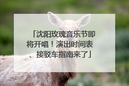 沈阳玫瑰音乐节即将开唱！演出时间表、接驳车指南来了