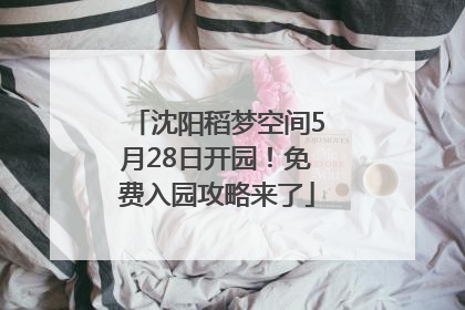 沈阳稻梦空间5月28日开园！免费入园攻略来了