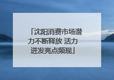 沈阳消费市场潜力不断释放 活力迸发亮点频现