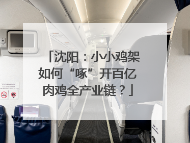 沈阳：小小鸡架如何“啄”开百亿肉鸡全产业链？