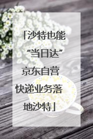 沙特也能“当日达” 京东自营快递业务落地沙特
