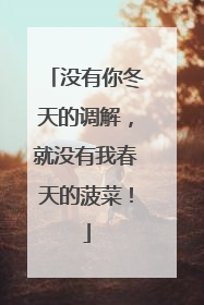 没有你冬天的调解，就没有我春天的菠菜！