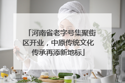 河南省老字号集聚街区开业，中原传统文化传承再添新地标