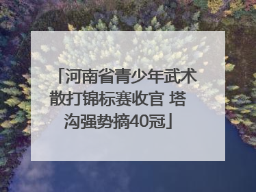 河南省青少年武术散打锦标赛收官 塔沟强势摘40冠