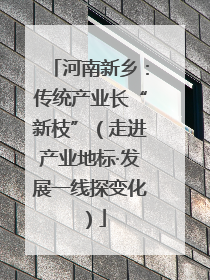 河南新乡：传统产业长“新枝”（走进产业地标·发展一线探变化）