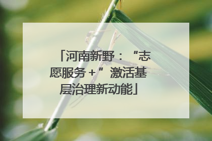 河南新野：“志愿服务＋”激活基层治理新动能