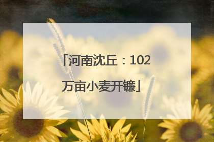 河南沈丘：102 万亩小麦开镰