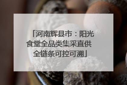 河南辉县市：阳光食堂全品类集采直供 全链条可控可溯