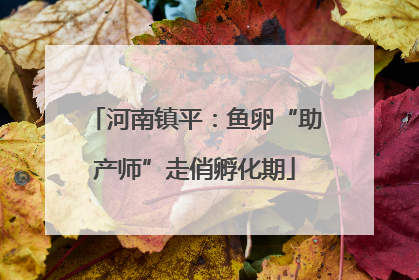河南镇平：鱼卵“助产师”走俏孵化期