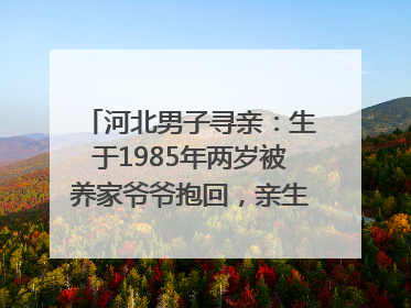 河北男子寻亲：生于1985年两岁被养家爷爷抱回，亲生父母疑为四川仪陇人｜红星寻人