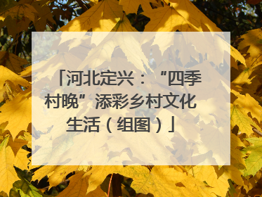 河北定兴：“四季村晚”添彩乡村文化生活（组图）
