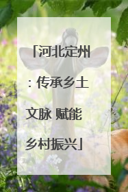 河北定州：传承乡土文脉 赋能乡村振兴