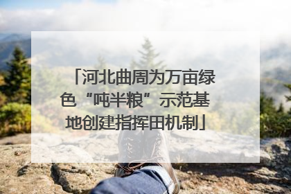 河北曲周为万亩绿色“吨半粮”示范基地创建指挥田机制