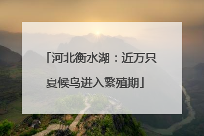 河北衡水湖：近万只夏候鸟进入繁殖期